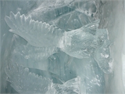 2010-08-21 Brigitte Jungfrau060